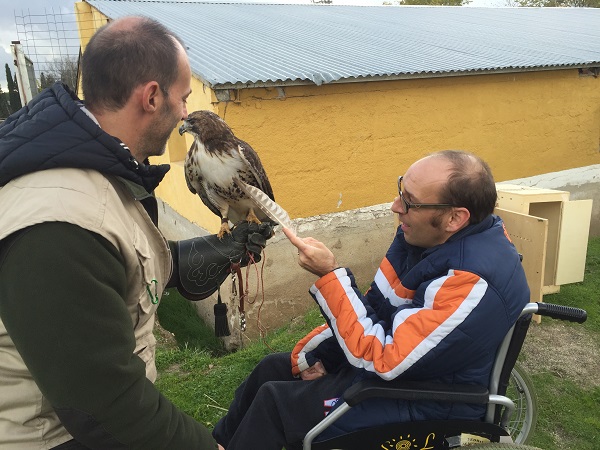 Usuario de Fundación AMÁS durante la terapia con aves rapaces. Foto: Fundación AMÁS.