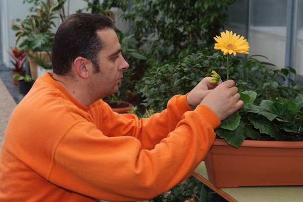 Trabajador de jardinería de la Fundación AMÁS Empleo. Foto: Fundación AMÁS.