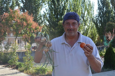 Cebollas y tomates de los huertos del proyecto "Plántate en Sufragio". Foto: Fundación AMÁS..